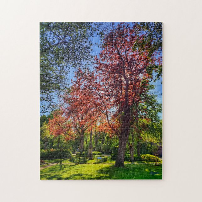 Puzzle “Rincón de luz – Einbeck en primavera” (Vertikal)