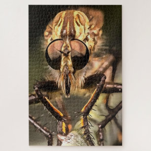 Puzzle Robber Fly Profile Asildae Artistic Close Up