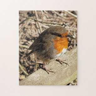 PUZZLE ROBIN