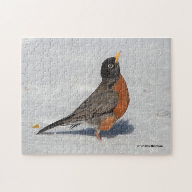Puzzle Robin américain dans la neige (Horizontal)