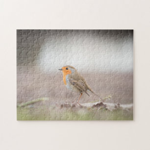 Puzzle Robin Bird Nature Photo