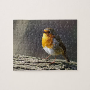 Puzzle Robins