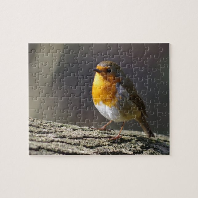 Puzzle Robins (Horizontal)