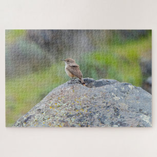 Puzzle Rock Wren