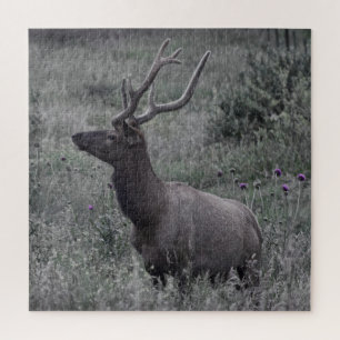 Puzzle Rocky Mountain Elk - RMNP - 20x20 - 676 pcs.