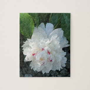 Puzzle romantique Peony