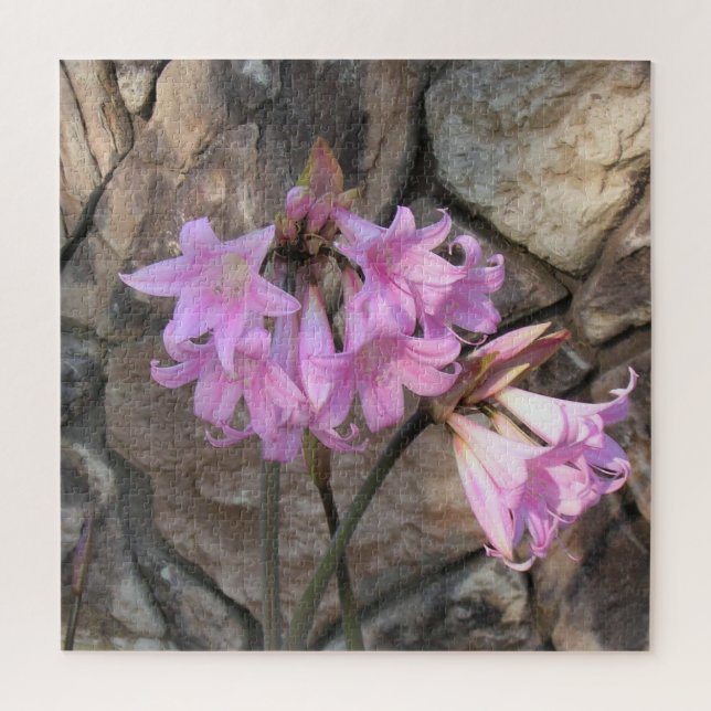 Puzzle - Rosa Amaryllis (Vertikal)