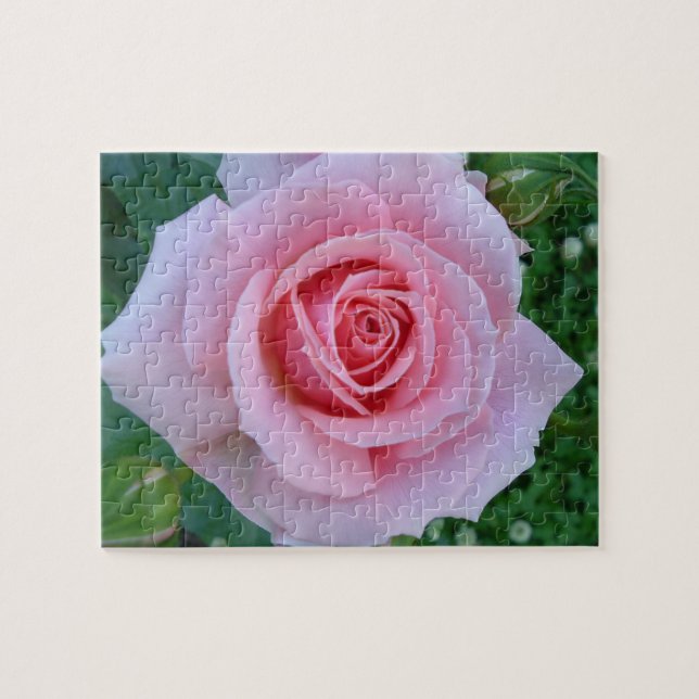 Puzzle rose (Horizontal)