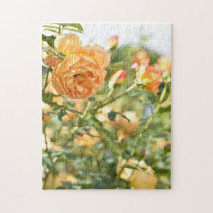 Puzzle Rose anglais Garden Kew Gardens Londres Royaume-Un