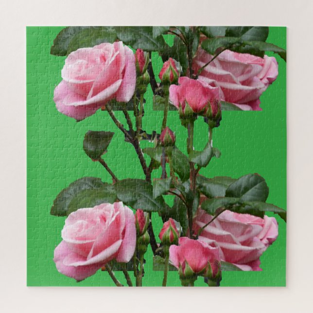 PUZZLE ROSE ANGLAIS ROSE (Vertical)