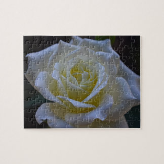Puzzle Rose blanc au crépuscule