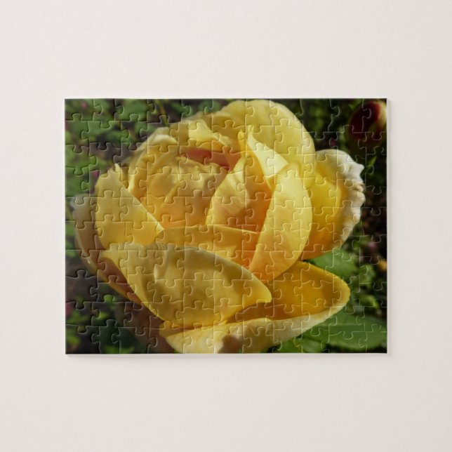 Puzzle Rose d'Angleterre (Horizontal)
