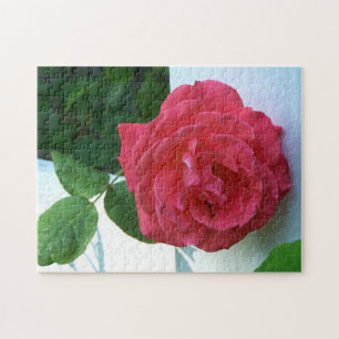 Puzzle Rose de corail rose