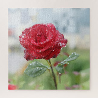 Puzzle Rose en gouttes de pluie