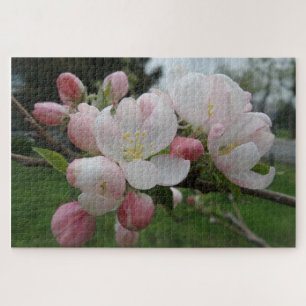 Puzzle rose et blanc
