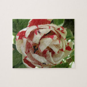 Puzzle rose et blanc