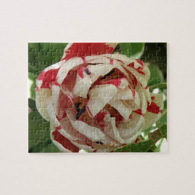 Puzzle rose et blanc (Horizontal)