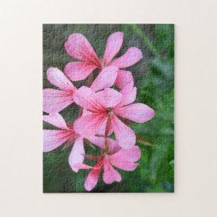 Puzzle rose, fleur, jardin, été, floral, natur