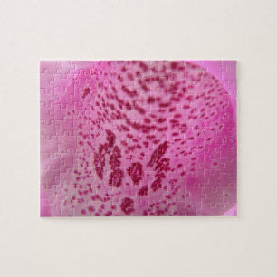 Puzzle rose Foxglove Petal