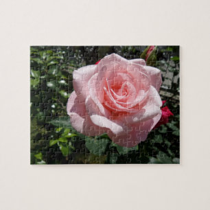 Puzzle rose Rose