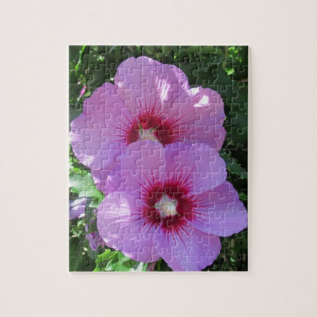 Puzzle Rose rose de Sharon Photo (Vertical)