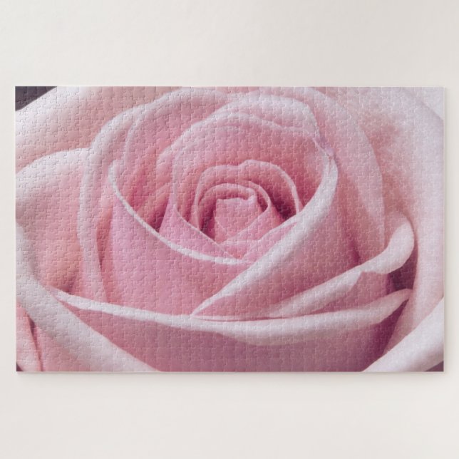 Puzzle Rose Rose Gros plan Photo (Horizontal)