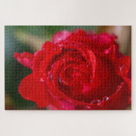 Puzzle Rose rouge closeup avec gouttes d'eau.