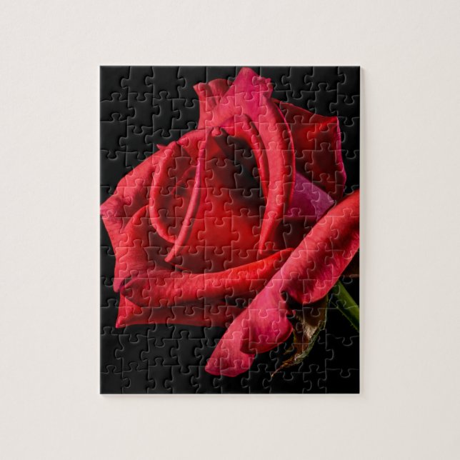 Puzzle Rose rouge contre Arrière - plan noir (Vertical)