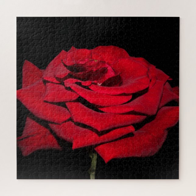 Puzzle Rose rouge - Noir (Horizontal)