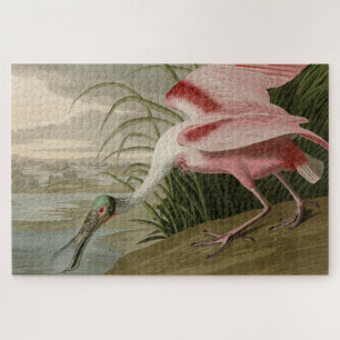 Puzzle Roseate Spoonbill from Audubon's Birds of America