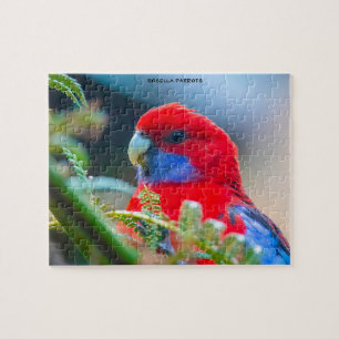 Puzzle Rosella Parrots Australie