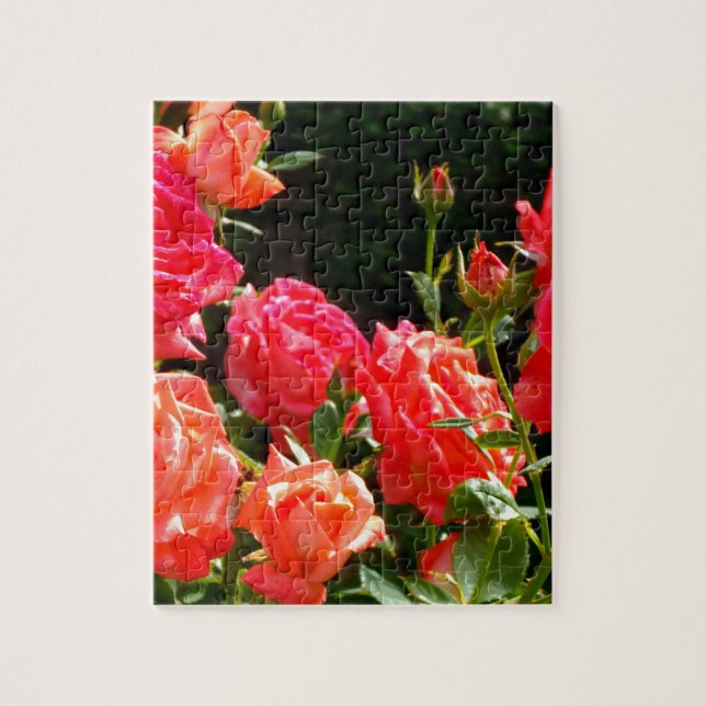 Puzzle Roses de corail romantique (Vertical)