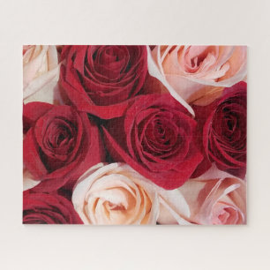 Puzzle Roses en fleur rose pâle et rouge 16x20 520 pièce