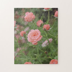 Puzzle Roses miniatures