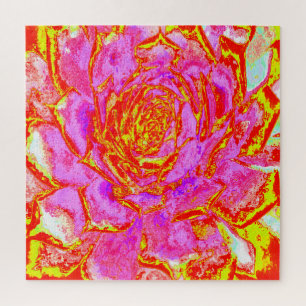 Puzzle Rosette de Sedum Succulent Rose Chaude, Rouge et J