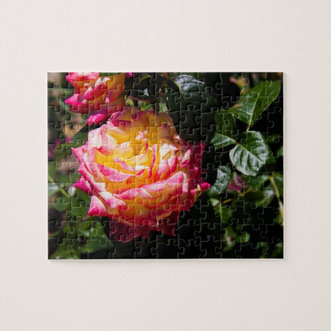 Puzzle Rosy Glow (Horizontal)