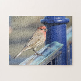 Puzzle - Roter Sparrow auf blauem Zaun