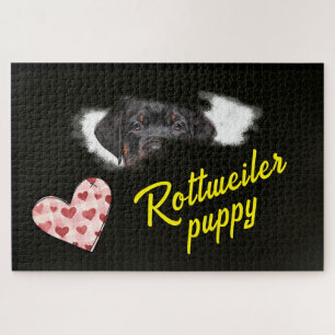 Puzzle Rottweiler Eyes Solid Color 1000 pièce Jigsaw Puzz