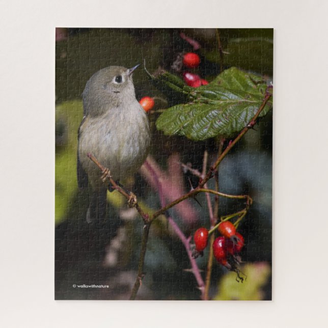 Puzzle Rouby-couronné Kinglet Songbird sur Hawthorn Bush (Vertical)