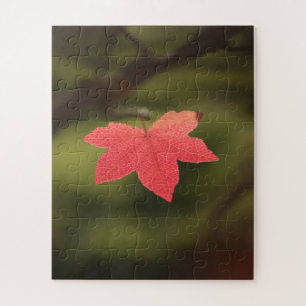 Puzzle Rouge automne Maple Leaf Nature Photo