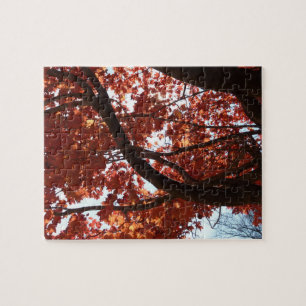 Puzzle Rouge Branches d'érable Couleurs d'automne