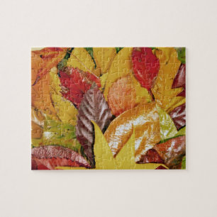 Puzzle Rouge brillant coloré Feuilles automnales jaunes