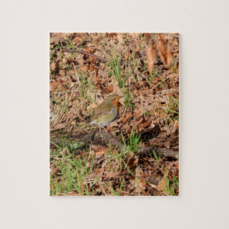 Puzzle Rouge-gorge familier