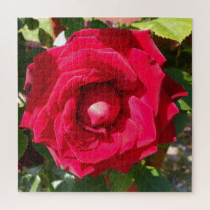 Puzzle Rouge Velvet Bud
