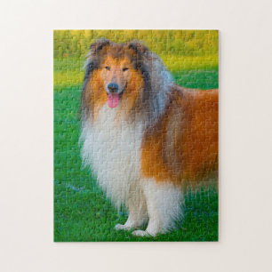 Puzzle Rough Collie Dog Jigsaws.