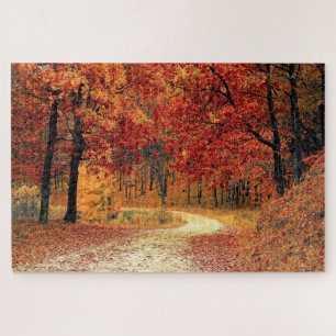 Puzzle Route forestière - Automne - Belle -
