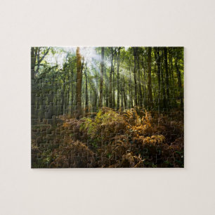 Puzzle Royaume-Uni, Angleterre. Rayons de soleil traversa