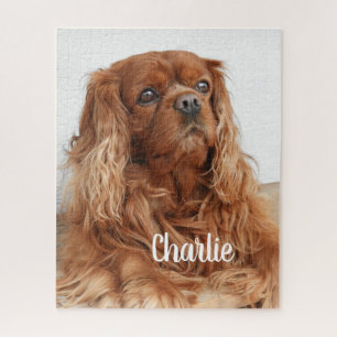 Puzzle Ruby Cavalier King Charles Spaniel Chien