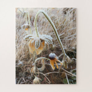 Puzzle Rudbeckia sauvage de l'hiver