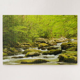 Puzzle Ruisseau Rugissant au printemps